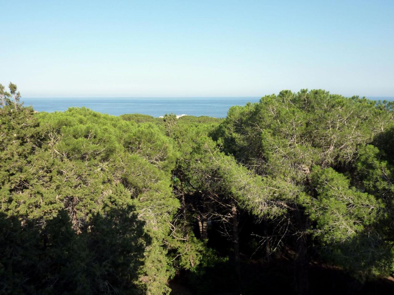 La Bouganville Apartments Cala Gonone Exteriör bild